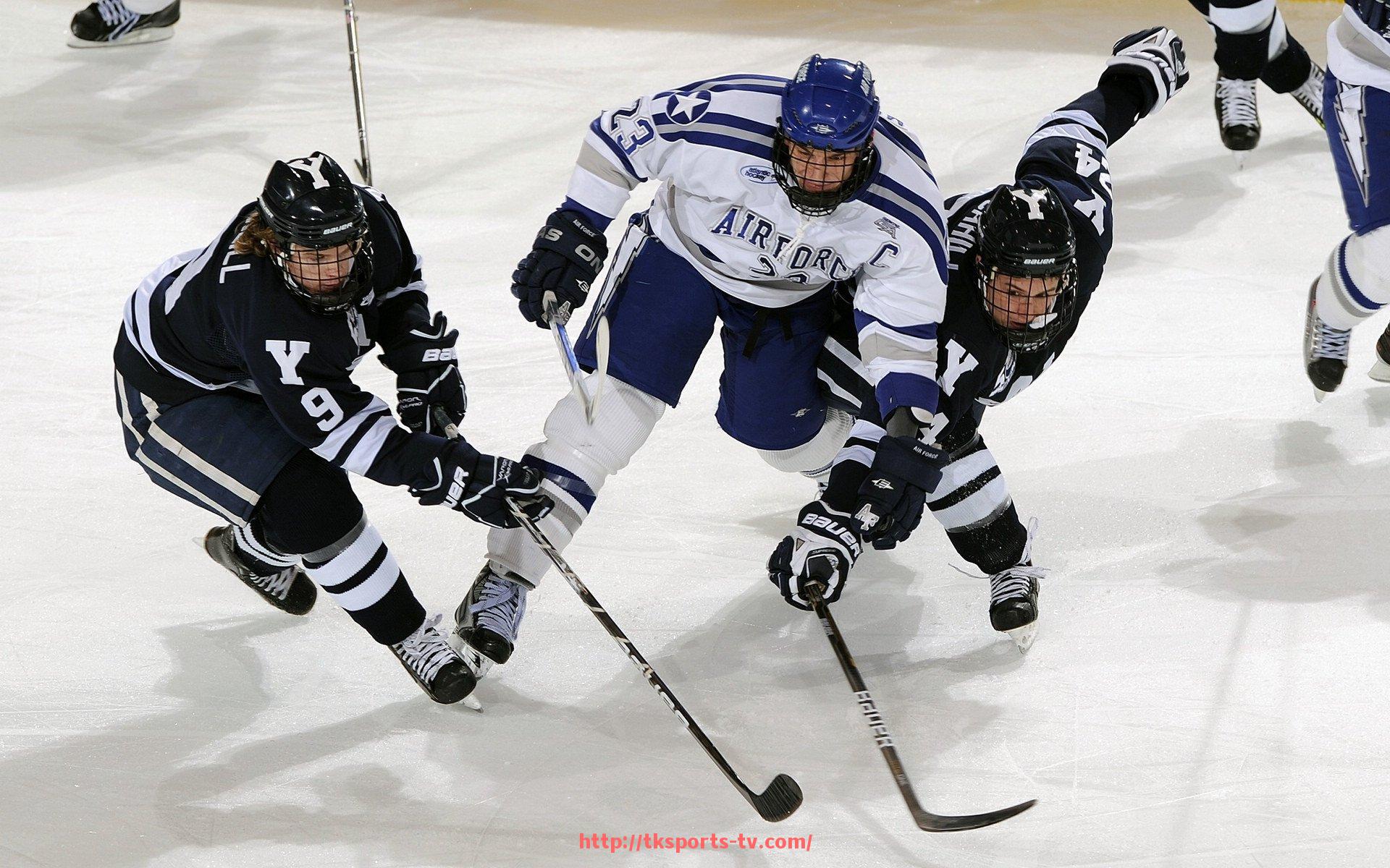 TK体育直播-Wolves球队英超:狼队在英超联赛中的表现与发展