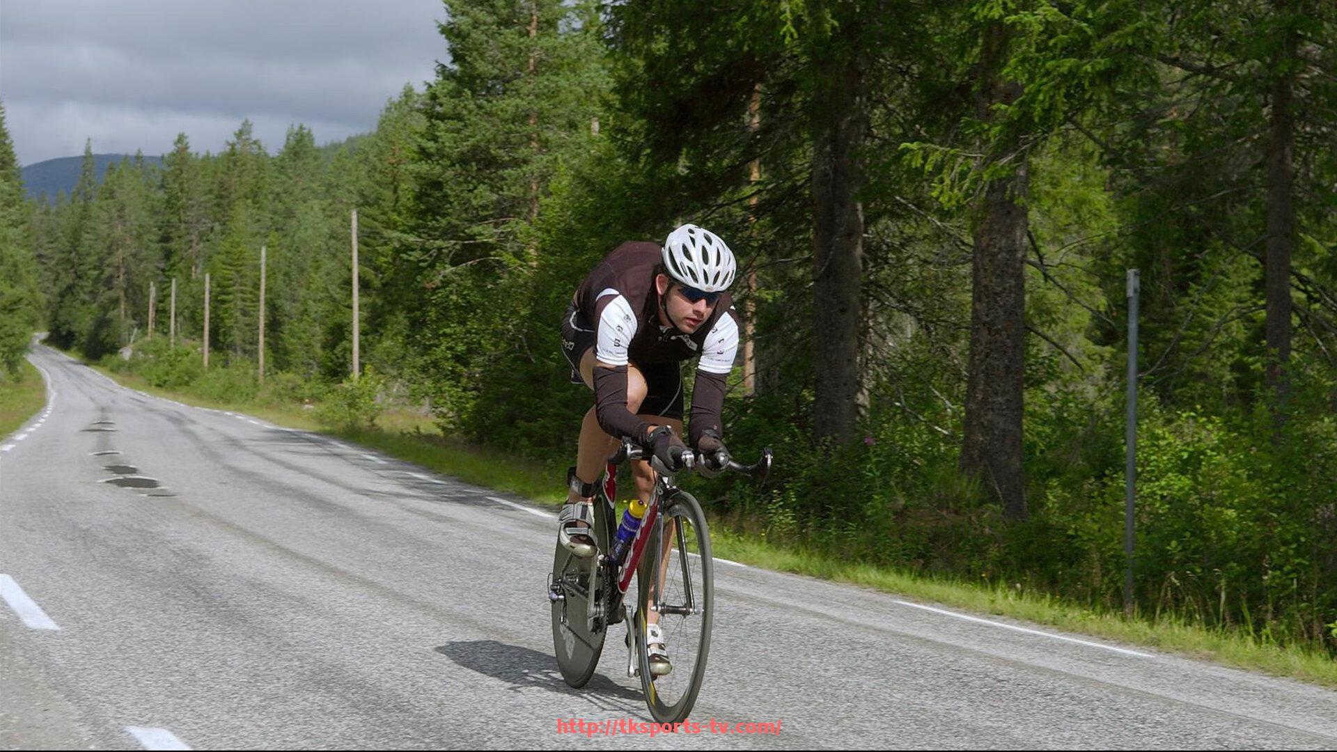 TK体育直播-德甲球队队旗设计分析：色彩与图案的足球美学